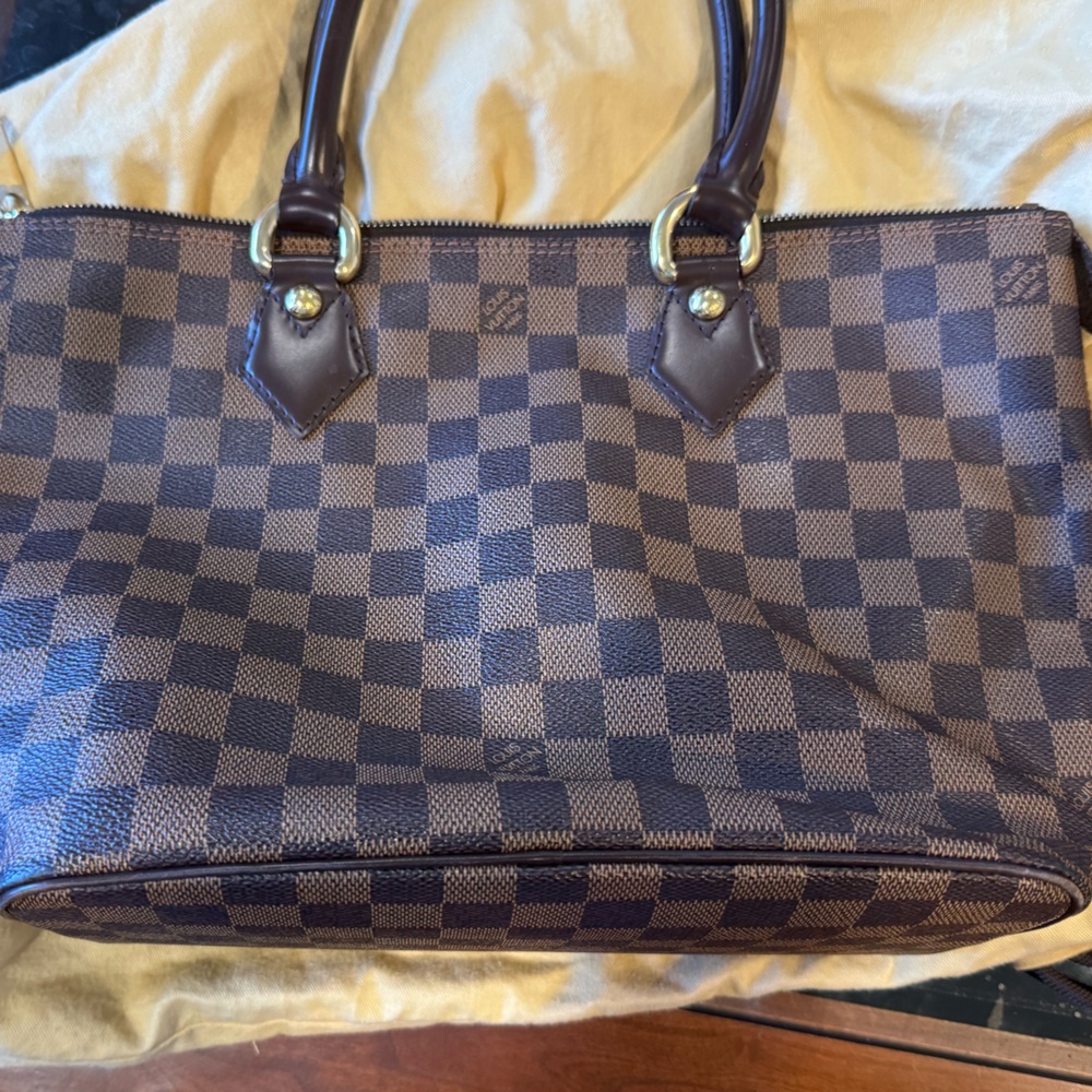 Louis Vuitton's Saleya PM DAMIER EBENE check